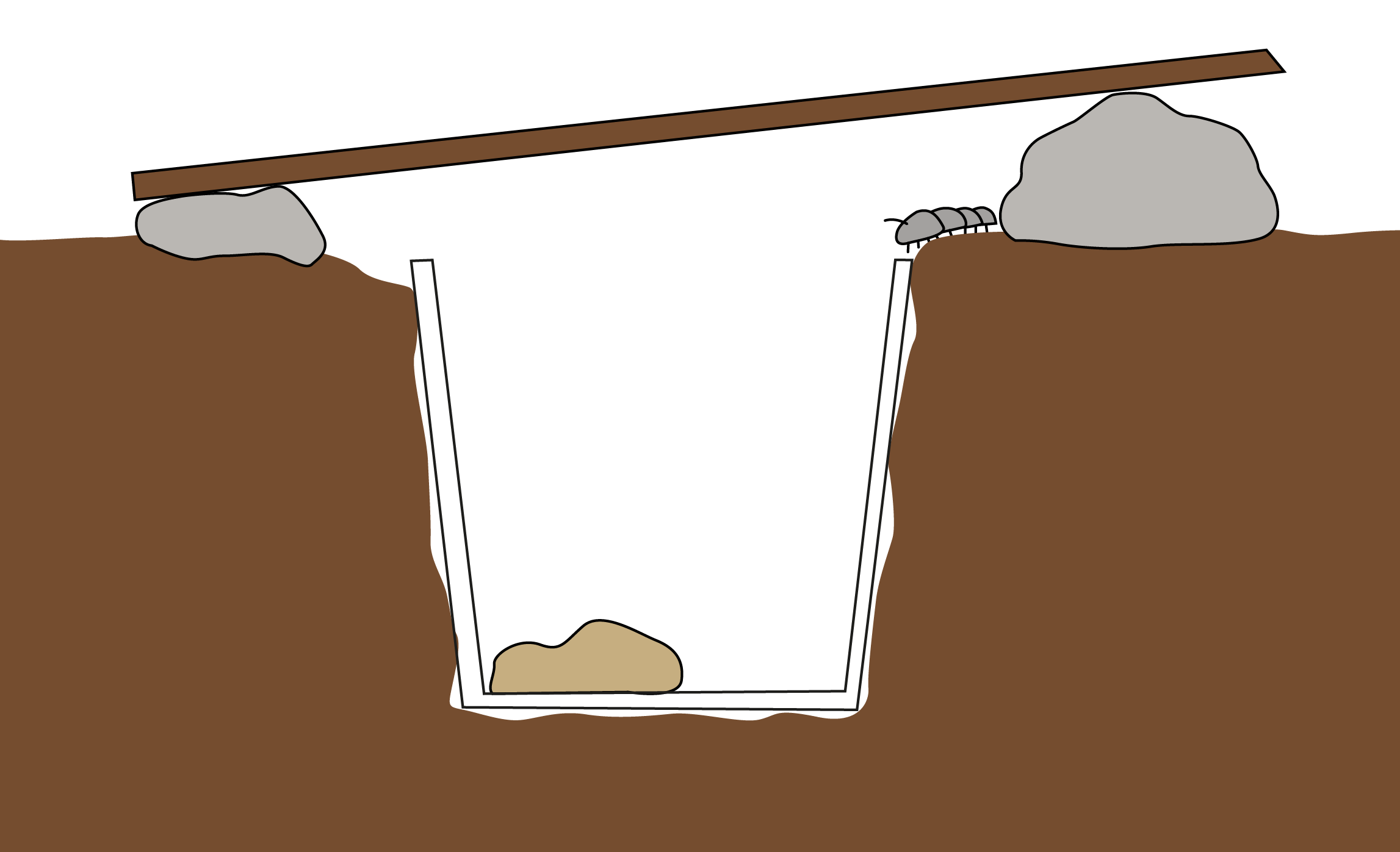 Image of a pitfall trap